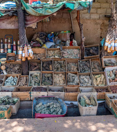 Ouverture d’un marché modernisé