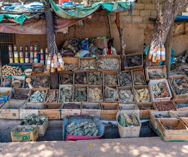 Ouverture d’un marché modernisé