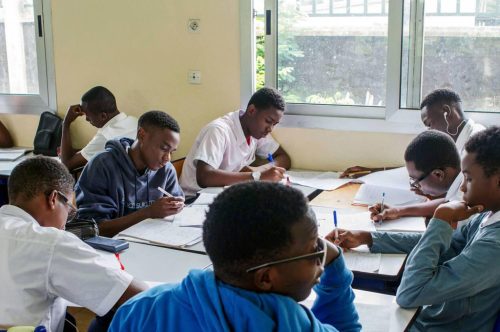 Programme de formation des jeunes
