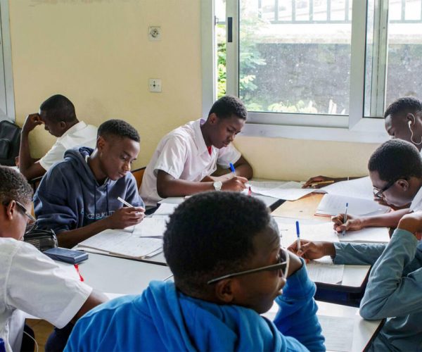 Programme de formation des jeunes